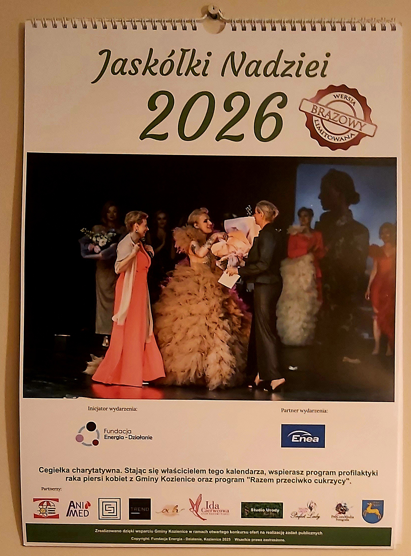 Wystawa poplenerowa Jaskółki Nadziei