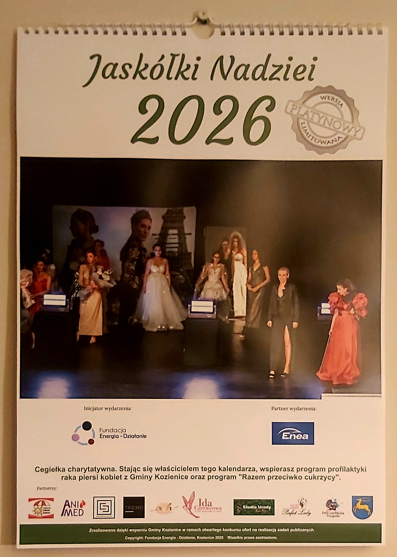 Wystawa poplenerowa Jaskółki Nadziei